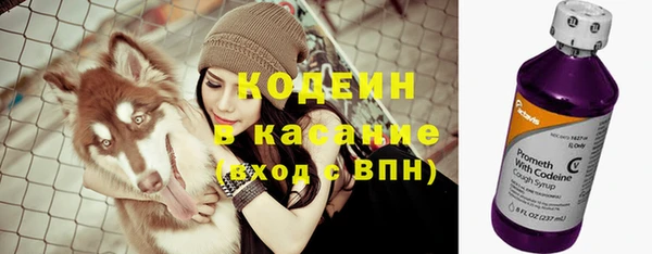 индика Белоозёрский