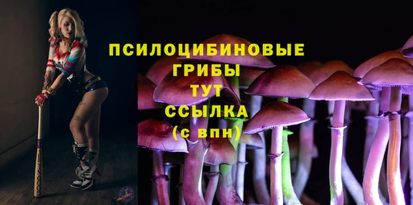 метадон Белокуриха