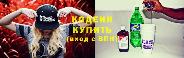индика Белоозёрский