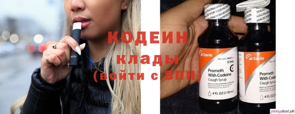 индика Белоозёрский