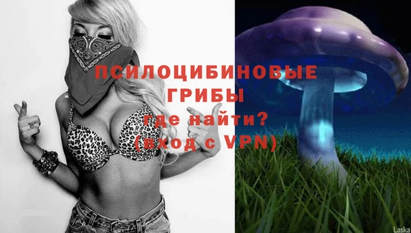 метадон Белокуриха