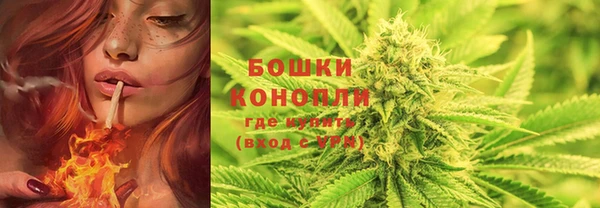 индика Белоозёрский