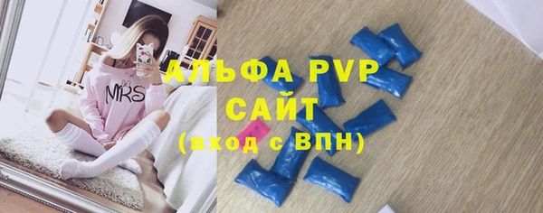 индика Белоозёрский