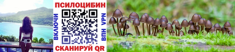 Псилоцибиновые грибы Psilocybe Невельск
